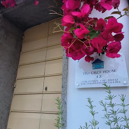 Tiny Circe House - Turistico Apartment
